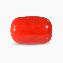 Coral stone